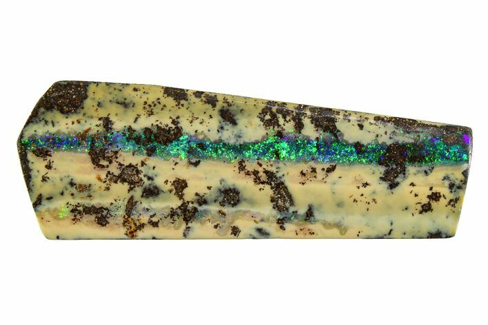 Galactic Boulder Opal Specimen - Queensland, Australia #351902